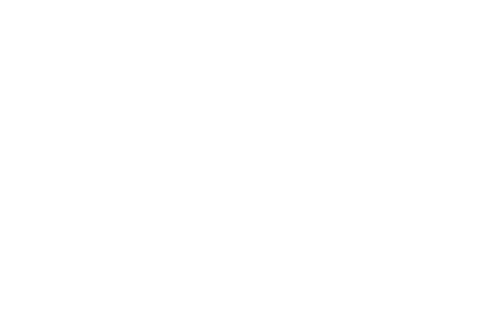 BFS logo weiss